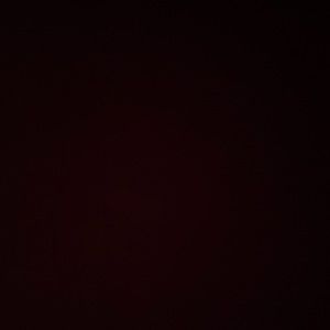 Meet your Posher, Jayden